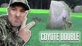 Self-Filmed Coyote Double