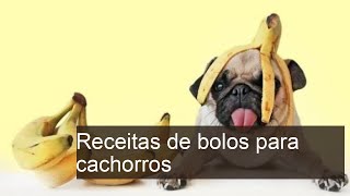 10 receitas de BOLOS PARA CACHORROS bem PRÁTICAS