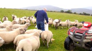 Join the Ulster Farmers' Union - make your voice heard