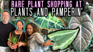 RARE HOUSEPLANT SALE @ PLANTS AND PAMPERIN' Tour & Haul - Aroids, Philodendron, Anthurium Alocasia