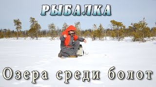 Рыбалка на Севере в апреле. Озёра среди болот.