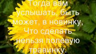 травинка.wmv