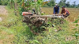 Pulang siang...// Traktor sawah mau lanjut lahan belum siap