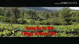 Gunung Mas tea walk