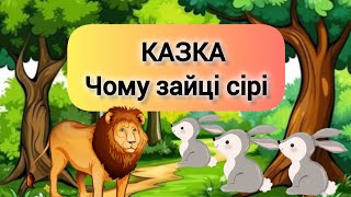 Казка Чому зайці сірі/ #казка #казкапрозайців #мультфільм казка українською