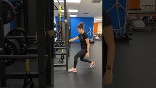 Rig Supported Split Squat