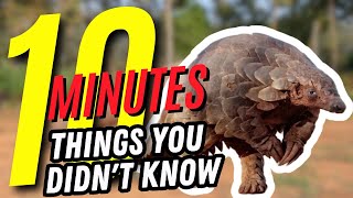 10 MINUTES OF THINGS YOU DON´T KNOW🤯🕒 #54