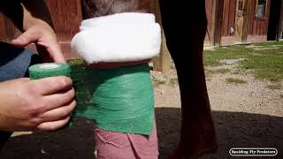 How Equine Vets Bandage A Wound PART TWO With Horse Vet Doc Jenni