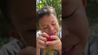 #shorts || simpan di sini dulu ah rambutan nya