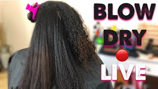 How To SAFELY Blow Dry Natural Hair STRAIGHT