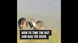 How to Time the Rut and Bag the Buck