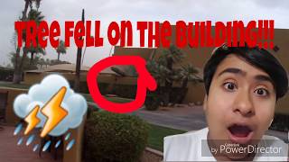 Tree fell on the building vlog 5