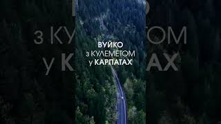 Вуйко з кулеметом у Карпатах | Короткий анекдот #shorts