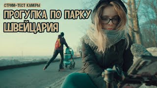 Стрим Прогулка в парке Швейцария