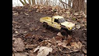 rc Toyota Landcruiser LC 79  up'n down the Trail