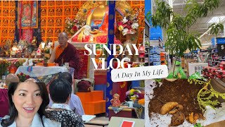 Nepali Vlog] Blessings by H.H. Gyangkhang Rinpoche | Bought A Peach Tree | Home Grown Potatoes 🥔