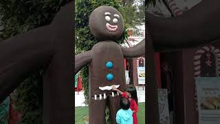 Patung Manusia Jahe/Gingerbread man#short