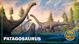 Patagosaurus fariasi | Jurassictube