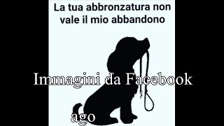 IMMAGINI da FACEBOOK - agosto 2024