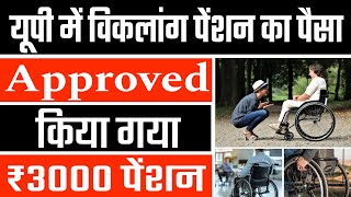 Divyang pension approved kab hogi | up viklang pension kab aayegi | pension kab aayegi |