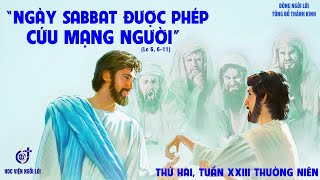 LỜI CHÚA: Lc 6,6 - 11.THỨ HAI TUẦN XXIII THƯỜNG NIÊN. NGÀY 09/09/2024.