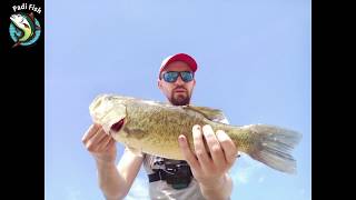 BIG BLACK BASS !!!! (49cm)