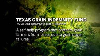 Grain Indemnity