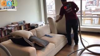 Professional Upholstery Cleaning Services In NYC   Furniture Steam Cleaning