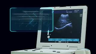 Laptop Veterinary Ultrasound Machine