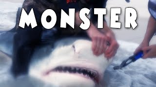 Fishing a Beach Full of Deadly Sharks | Florida Shark Fishing (LBSF)