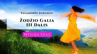 Pasąmonės Žodynas: Žodžio galia III DALIS