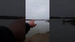 Сырдарья Слияние Чирчик 13.02.2022 | Рыбалка Fishing PRO Темур | Тик Ток #Shorts