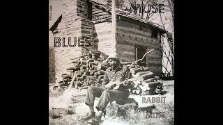 Rabbit Muse - Cabin In The Cotton