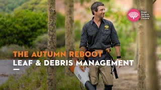 Autumn Reboot: Leaf and Debris Management with Royal Botanic Gardens Cranbourne