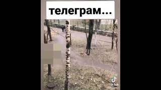 Телеграм...🤣🤣🤣🤣🤣