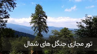 کاوش در طبیعتی رویایی: طبیعت گردی در جنگل های شمال ایران