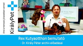 Rex Kutyaotthon bemutató