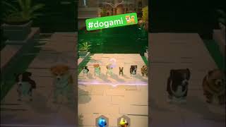 #dogami P'tit play to Earn gratis et fun 🕹️🐕 Sélectionne ton dog, ajoute les boosters et on the way😁