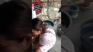 Labandera shogey #reels #funny #usa #shorts