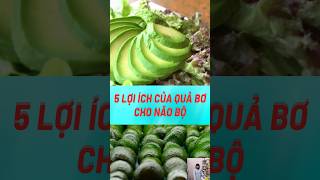 5 Lợi Ích Của Quả Bơ Cho Não Bộ#biquyetsongkhoetre #shortsvideo #food