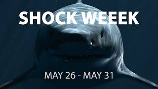 Wes Wheeler - Shockweek!