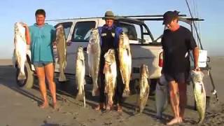 Cob Fishing Namibia