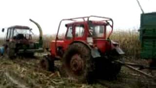 Mtz80+silózó+Mtz50+ mbp elakadás2