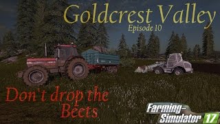 Goldcrest Valley #10