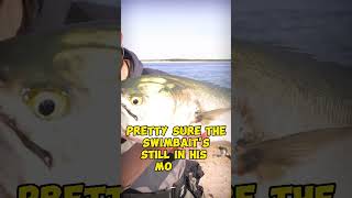 EASY WAY TO CATCH BIG FISH! #fishing