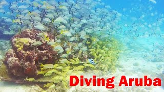 Diving in Aruba