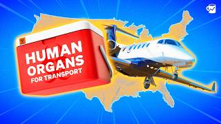 How Some Private Jets Are Cashing In on…..Organs