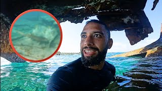 ENCONTREI UM TUBARÃO EM SAN ANDRÉS 😳 - Vlog de viagem #7