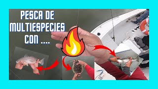 💥COMO NO habia usado este SEÑUELO antes❓Descubri lo MEJOR para PESCAR redfish,truchas,flounder...