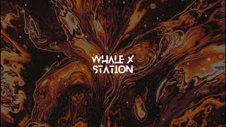 Axel Thesleff - Bad Karma | Whale X Station |